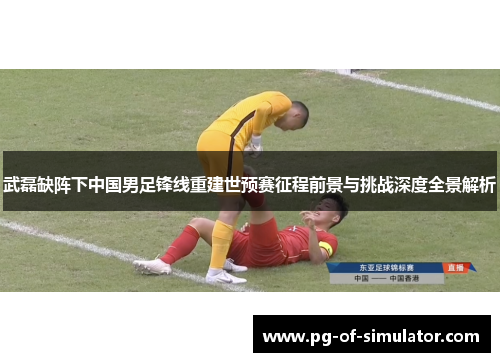 武磊缺阵下中国男足锋线重建世预赛征程前景与挑战深度全景解析